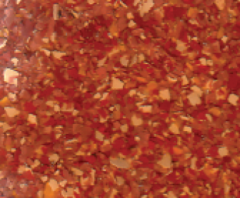 Bild-Chips-vollflaechig-c.PNG