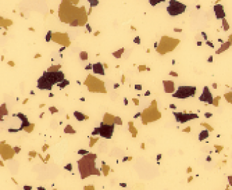 Chips-teilflaechig-b.PNG